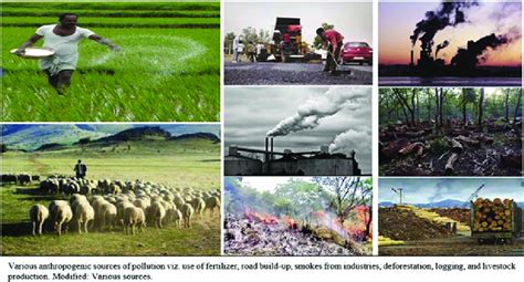 11 Various anthropogenic sources of pollution viz. use of fertilizer,... | Download Scientific ...