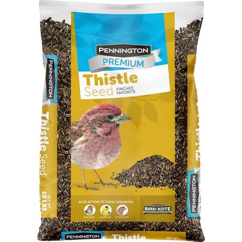 Pennington Premium 10 lb. Thistle Nyjer Bird Seed Food for Finches and Other Wild Birds ...