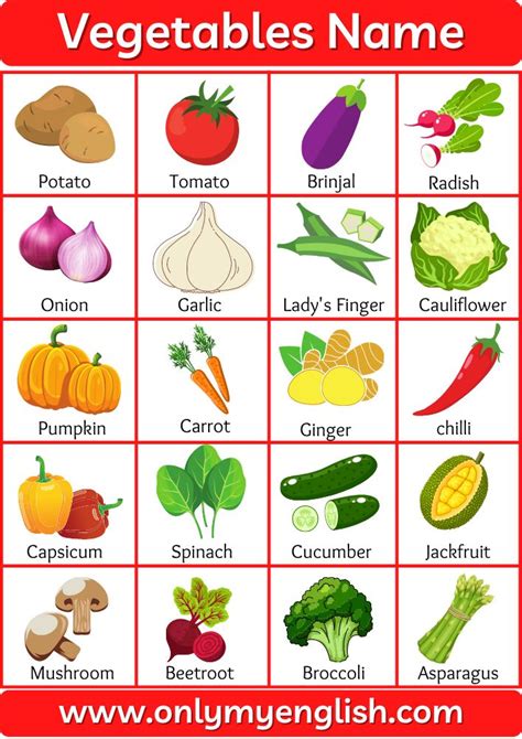 Vegetable name in English with pictures | Name of vegetables, Fruits ...