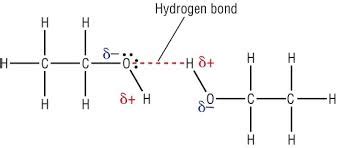 Why ethanol has higher boiling point than ethane?