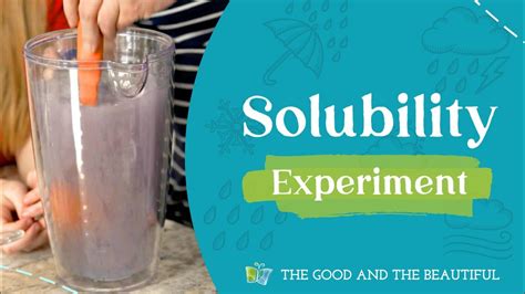 Solubility Experiment | Water and Our World | The Good and the Beautiful - YouTube