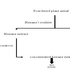 Scheme 1: Extraction and identification of terpenes. | Download Scientific Diagram