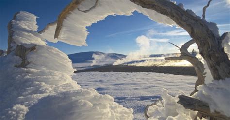 Winter in Yellowstone - CBS News