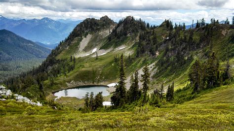 Mt. Baker National Forest Map – Natural Atlas