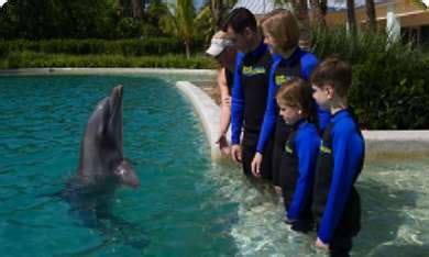 Swim with Dolphins in Miami Seaquarium