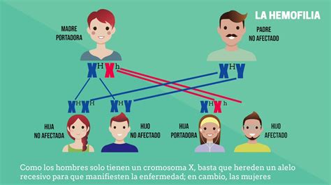 Herencia ligada al sexo y genealogia - YouTube