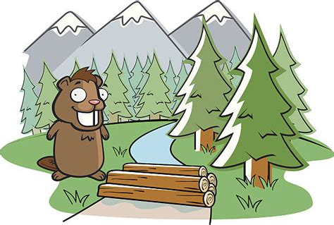 Beaver Building Dam Illustrations, Royalty-Free Vector Graphics & Clip ...