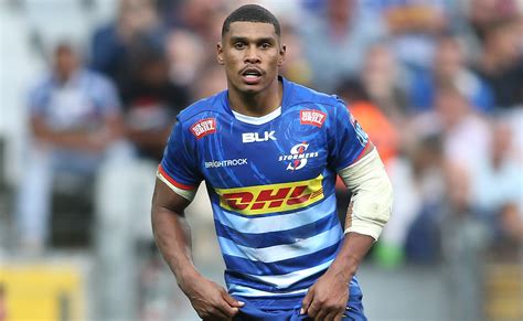 URC: Stormers coach John Dobson sings Damian Willemse's praises ...