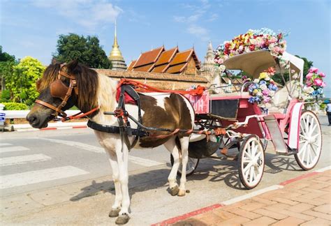 Premium Photo | Horse carriage at phrathat lampang luang temple in ...