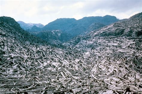 Impressive Historical Photos From Mount St. Helen's Eruption, 40 Years ...