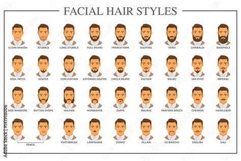 Beard styles guide. Facial hair types vector illustration. Mustache and ...