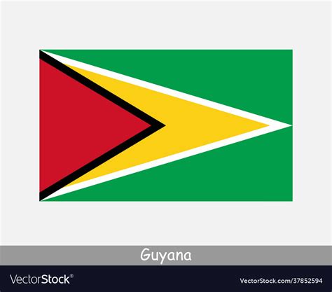 Guyana guyanese national country flag banner icon Vector Image