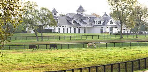 Kentucky Horse Farms for Sale | Louisville KY