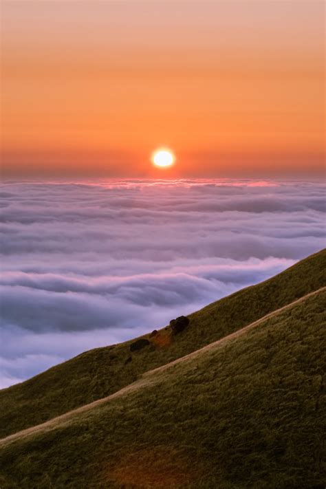 Perfect Sunset on Mount Tamalpais, CA [3981 x 5972] [OC] : r/EarthPorn