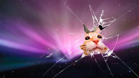 Space Cat Wallpaper | Backgrounds | Photos | Images | Pictures – YL Computing