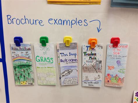 photo-49.JPG 1,600×1,200 pixels | 4th grade science, Fourth grade ...