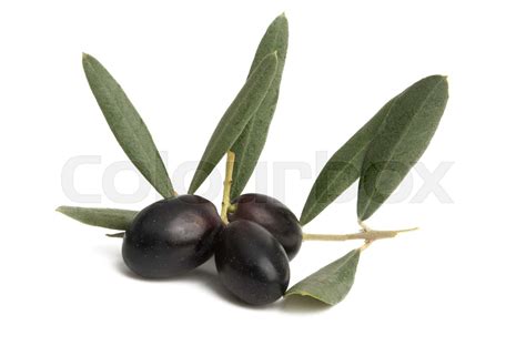 black olives isolated | Stock image | Colourbox