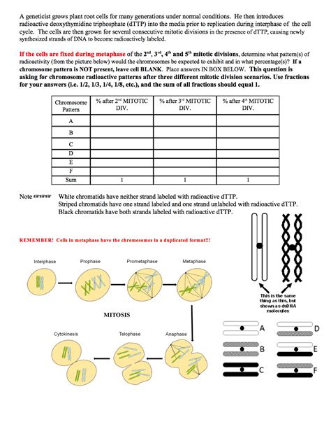 Solved A geneticist grows plant root cells for many | Chegg.com