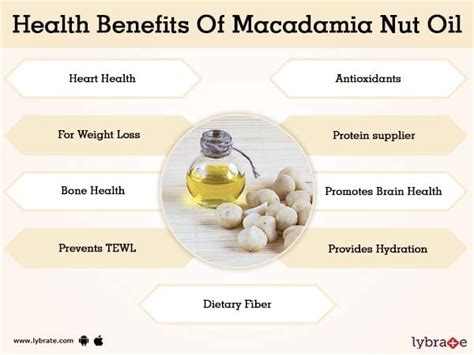 Macadamia Nuts Benefits Hair | Bruin Blog