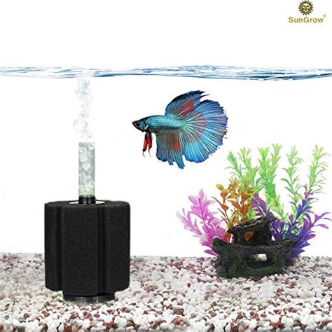 Biochemical Sponge Betta Filter for Aquarium by SunGrow – High efficiency filtration breaks down ...