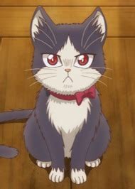 My Roommate is a Cat | Anime-Planet