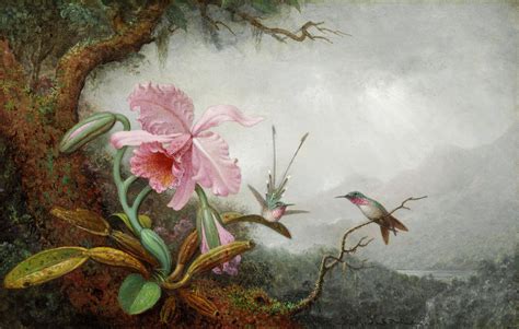 Hummingbirds and Orchids, 1880s by Martin Johnson Heade - Paper Print ...