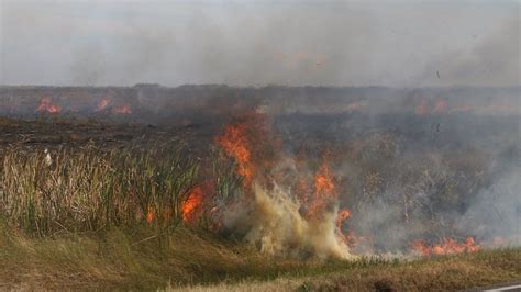 Louisiana Grapples With 'Unprecedented' Wildfires From Record Heat and ...