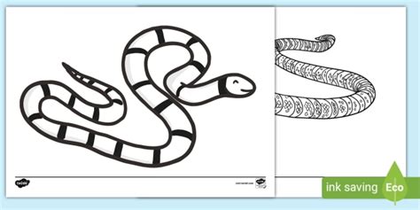 FREE! - Sea Coral Snake Colouring Sheets | Colouring Pages