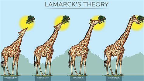 Abandoned Science: Lamarck’s theory of evolution – Mensa