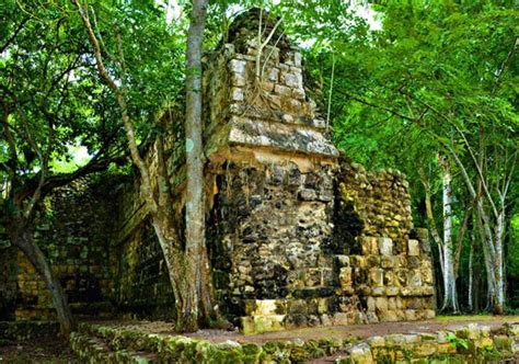 Ancient Mayan Palace Uncovered In Mexico's Yucatán Jungle