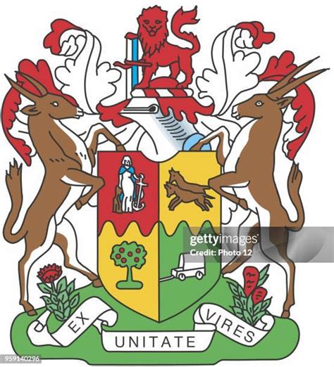 102 South African Coat Of Arms Stock Photos, High-Res Pictures, and ...