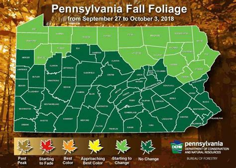 Pennsylvania Fall Foliage Report: Not yet time for leaf-peeping - pennlive.com