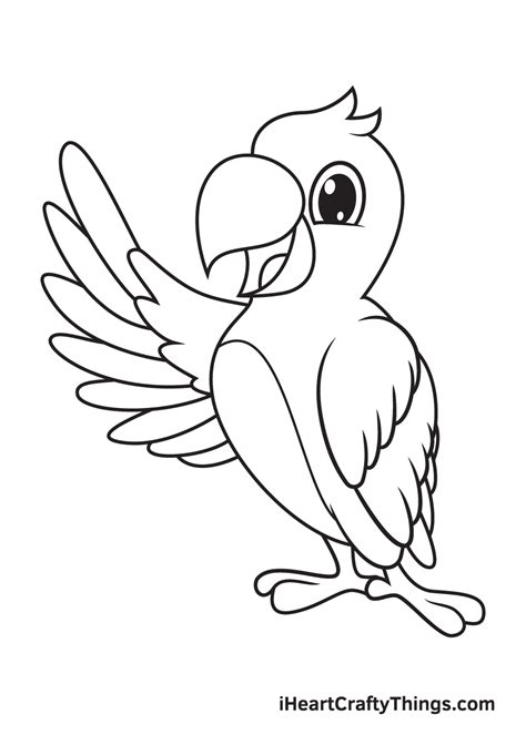 Parrot Drawing — How To Draw A Parrot Step By Step