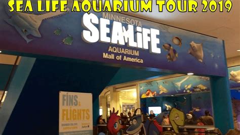 Mall of America Sea Life Aquarium - YouTube