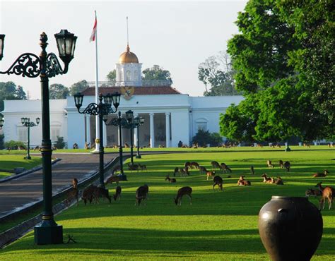 Bogor And Botanical Garden Tour | Floressa Tours