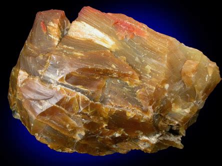 Photographs of mineral No. 29170: Quartz var. Petrified Wood from Dawson Arkose formation, Colorado