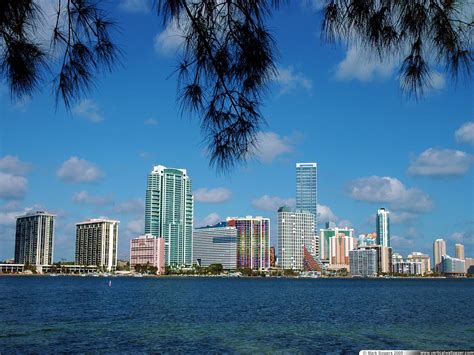 Vertical Wallpaper - Miami Skyline
