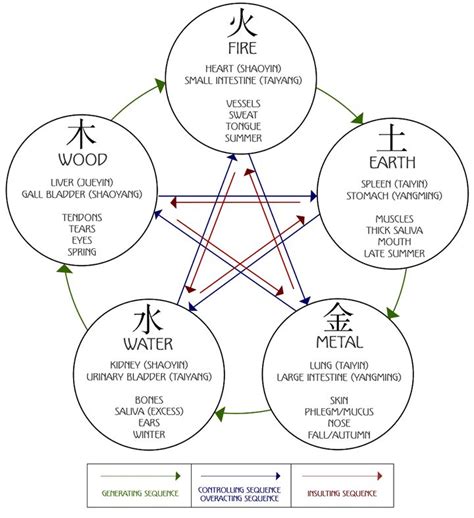 Five Element Cycles Tai Chi, Qi Gong, Tcm Traditional Chinese Medicine ...