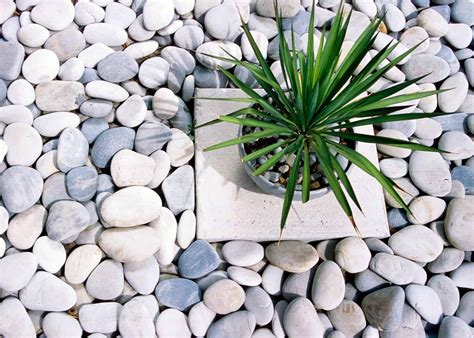 Landscaping Ideas With Rocks