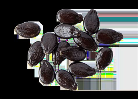 Is Passion fruit seeds Lectin-Free? YES