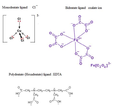 what are ligands,bidentate and polydentate ligands give examples what are chelating agents ...