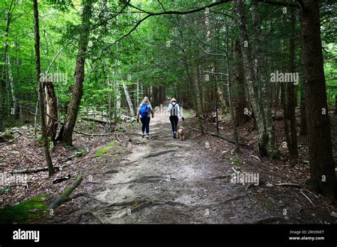 Manchester vermont summer hi-res stock photography and images - Alamy