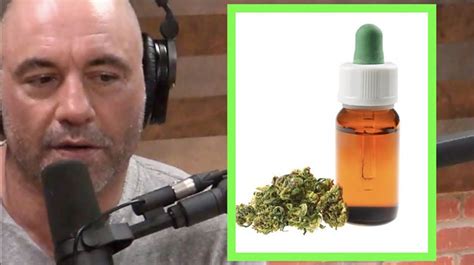 Joe Rogan Supplements List - What He Takes & Why (2024)