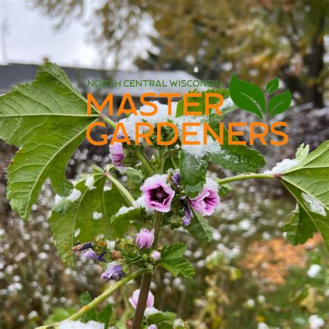 North Central WI Master Gardeners | Wausau WI