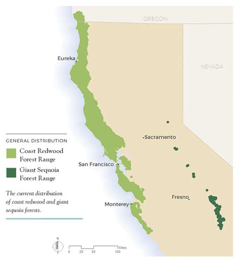 State of Redwoods Conservation Report | Save the Redwoods League