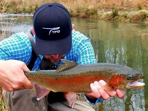 Fly Fishing in Kentucky - Overnight Adventures - Trout - Warm Water