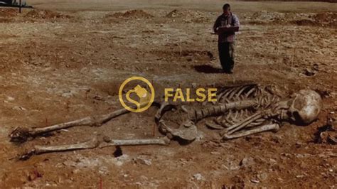 Are These Giant Human Skeleton Photographs Real? | Snopes.com