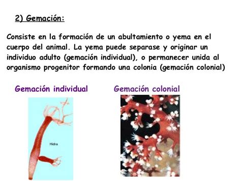 Ciencia en Acción: 08. OCTAVO (8º)