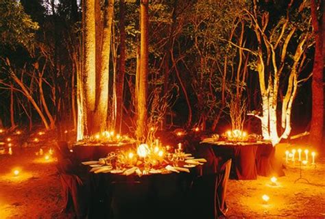 The Enchanted Rainforest Wedding Signs, Wedding Cards, Wedding Ideas, Wedding Ceremony Outline ...