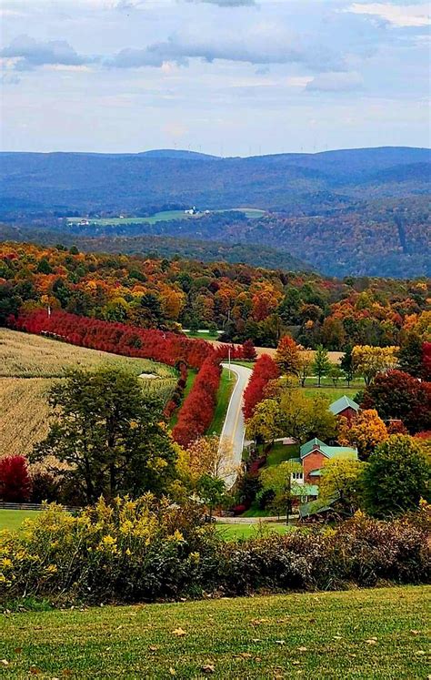 FALL FOLIAGE in Pa : r/natureporn